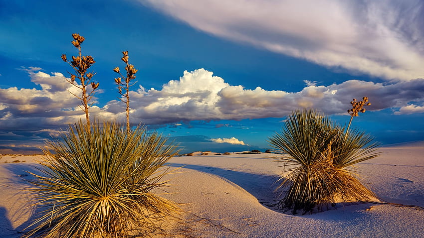 Залез в Национален парк Уайт Сандс, Ню Мексико, облаци, пейзаж, небе, растения, САЩ HD тапет