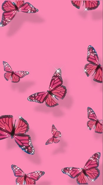 Cute aesthetic pink butterfly HD wallpapers | Pxfuel