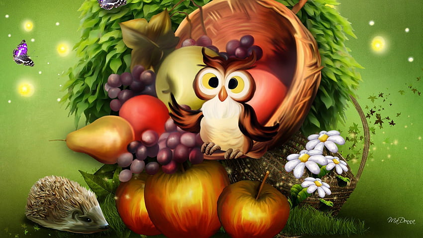 Harvest Fairy Tale, automne, mignon, bouche bée, poires, hibou, été, feuilles, pommes, papillon, fruits, automne, fleurs, fantaisiste, récolte Fond d'écran HD