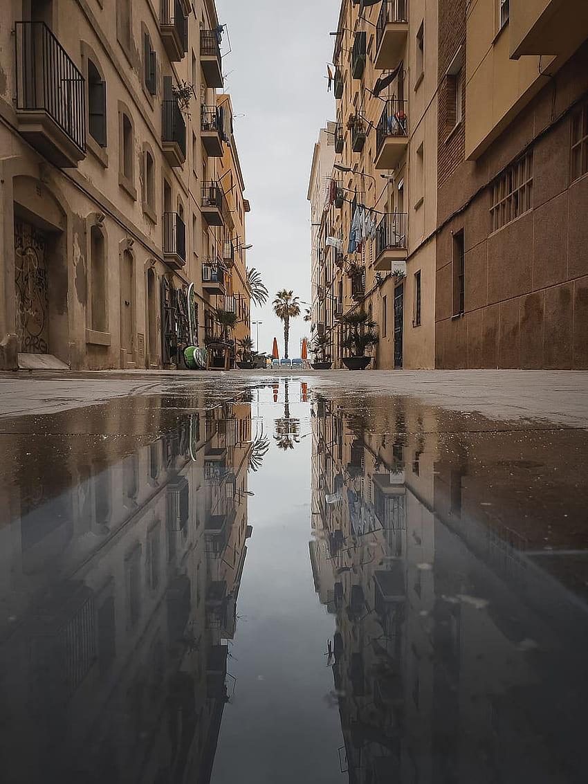 : 水たまり、通り、都市、スペイン、道路、都市、町、建物、バルセロナ HD電話の壁紙