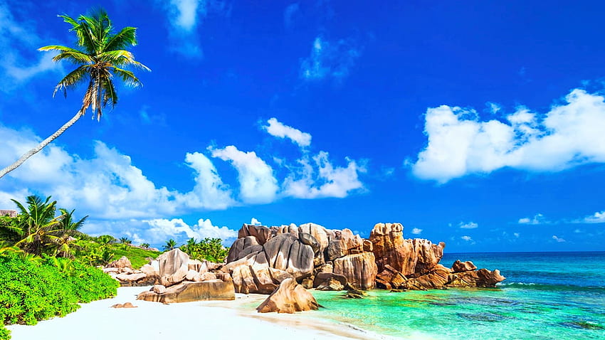 La Digue Island, Seychelles, sand, tropical, landscape, clouds, sky, rocks, ocean, palm trees HD wallpaper