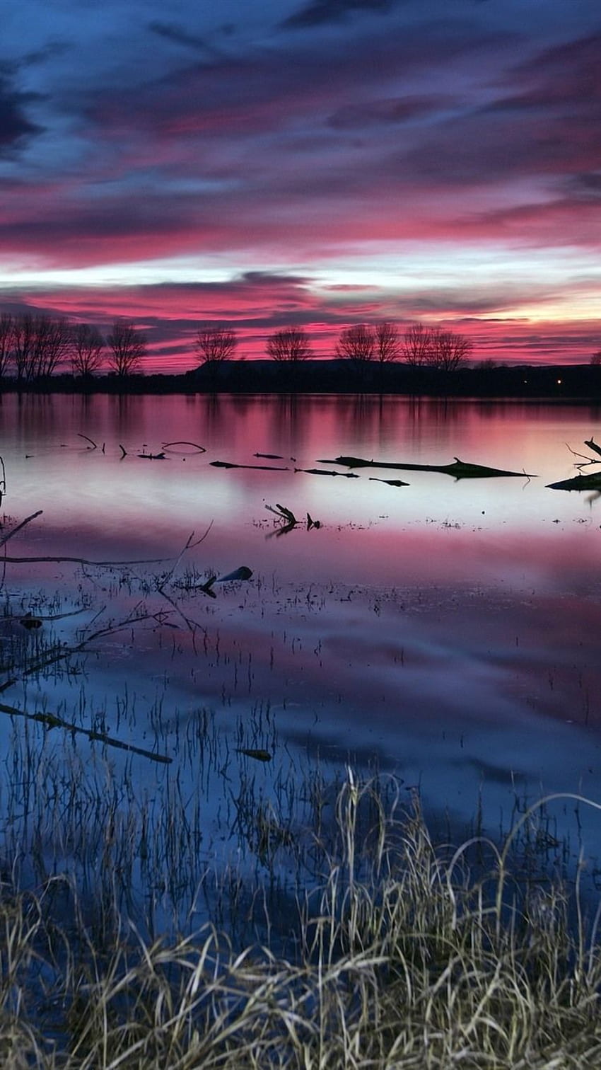 호수, 잔디, 황혼, 나무, 보라색 구름 IPhone 8 7 6 6S , 배경 HD 전화 배경 화면