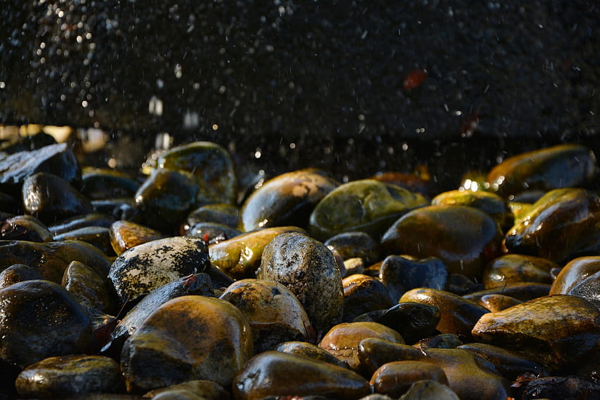 Rocks, water drops, moist, nature HD wallpaper