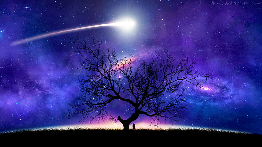ศิลปะ จักรวาล กลางคืน เงา ไม้ ต้นไม้ ท้องฟ้าเต็มไปด้วยดวงดาว ดาวหาง วอลล์เปเปอร์ HD