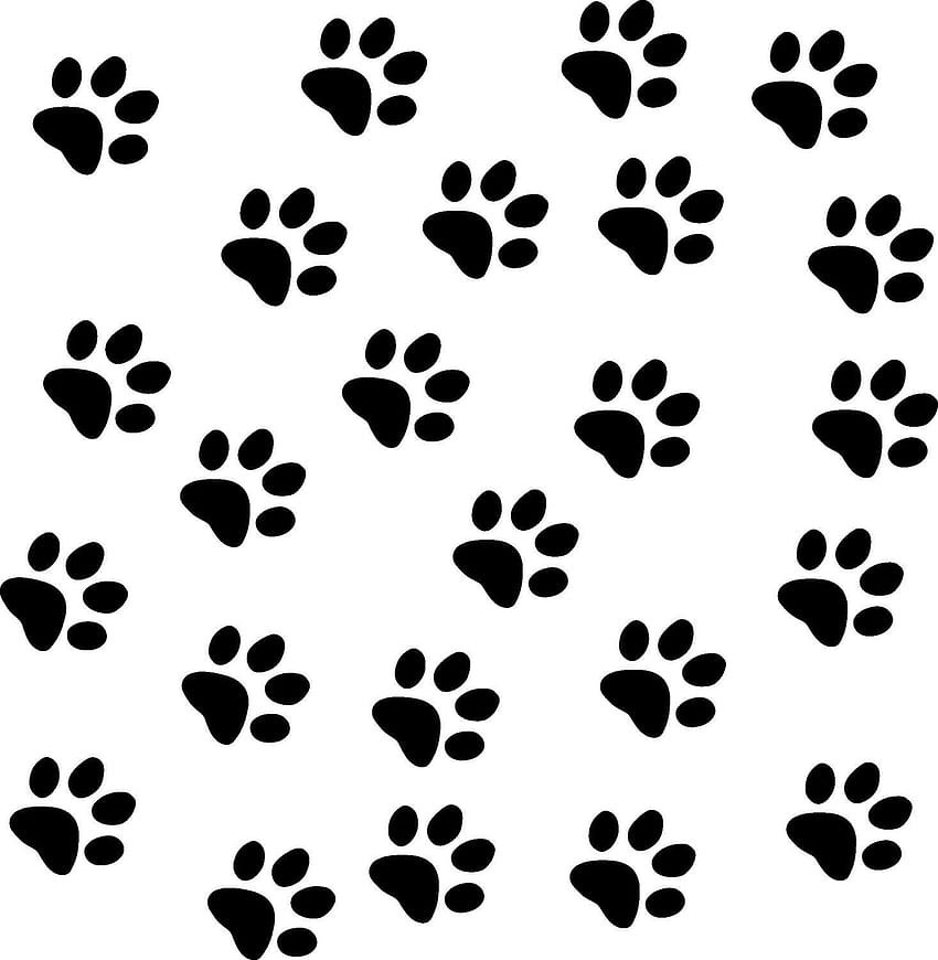 Of Cat Paw Prints - Lovely HD phone wallpaper