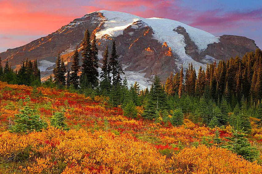 Autumn in Montana, colred trees and bushes, autumn, colored sky, montana, snow peeks, mountain HD wallpaper