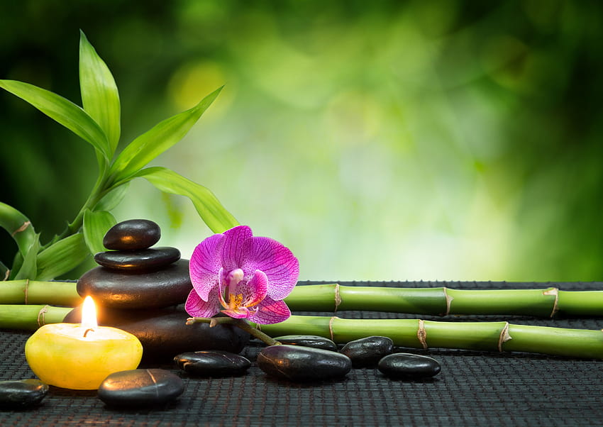Candle Stones Orchid Bamboo Spa - Zen - & Background HD wallpaper