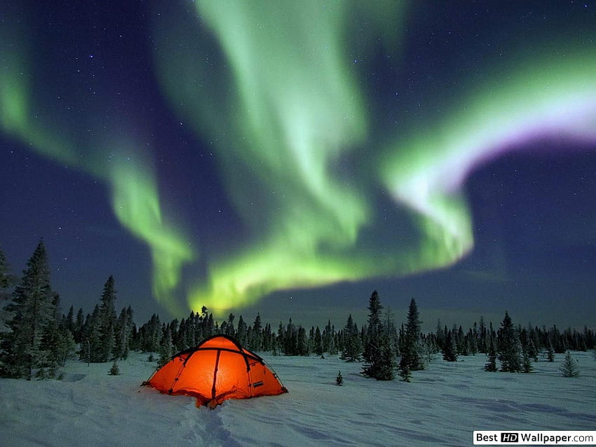 Aurora Borealis over Winter Campground, Cute Camping HD wallpaper