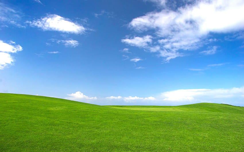 Grass Sky, Grassy Field HD wallpaper