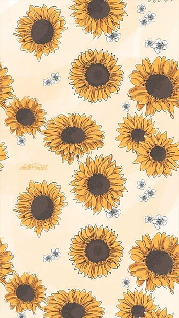 Cute cartoon sunflower HD wallpapers | Pxfuel