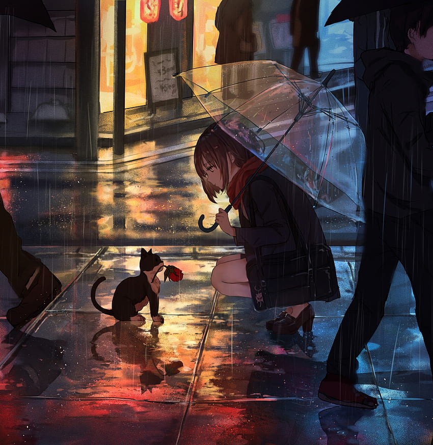 Anime, Rain, Flower, Kitty, Kitten, Girl, Street HD phone wallpaper