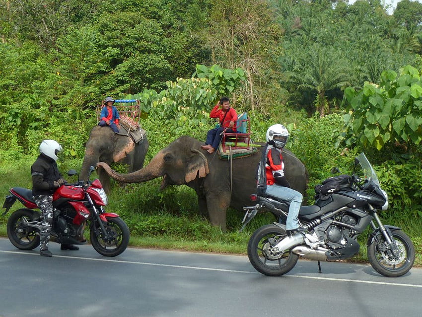 Exploration Thailand : Frequently Asked Info, Touring Motorcycle HD wallpaper