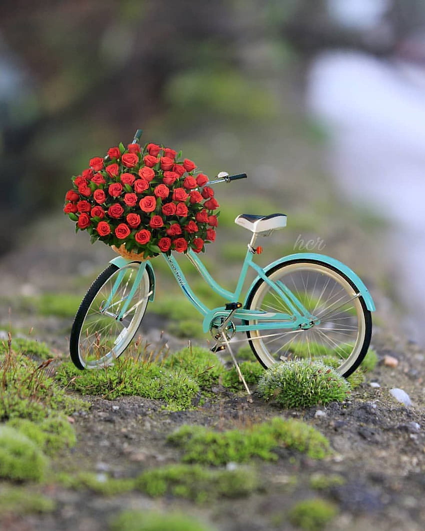 Ciao amici ☕. di, Cute Bicycle Sfondo del telefono HD