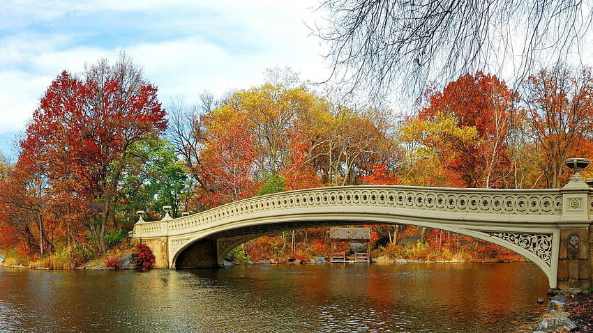 Beautiful Manhattan Central Park Autumn Lake Bridge Water Trees Must Visit in fall season. [1920*1080] : HD wallpaper