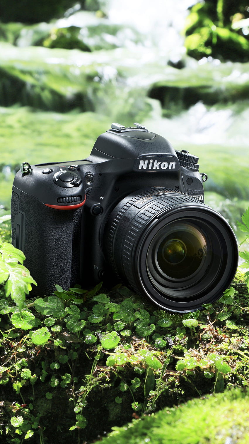 Nikon D750, aparat, lustrzanka cyfrowa, cyfrowy, recenzja, korpus Tapeta na telefon HD