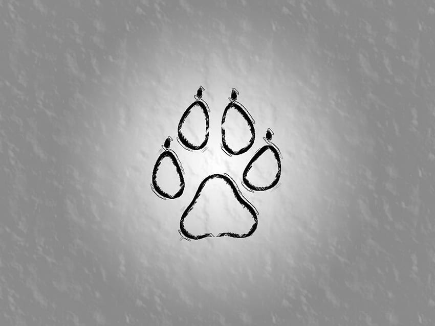 15 Adorable Paw Print Tattoo Designs for Animal Lovers
