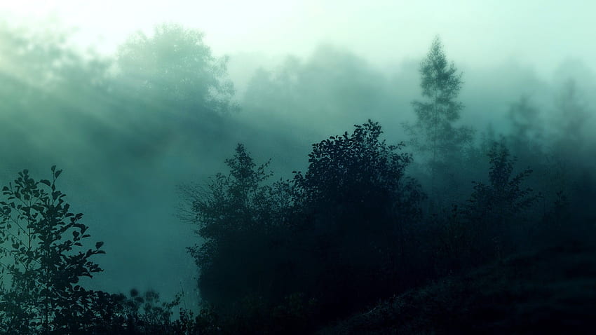Fond de forêt brumeuse - Fond d'écran HD