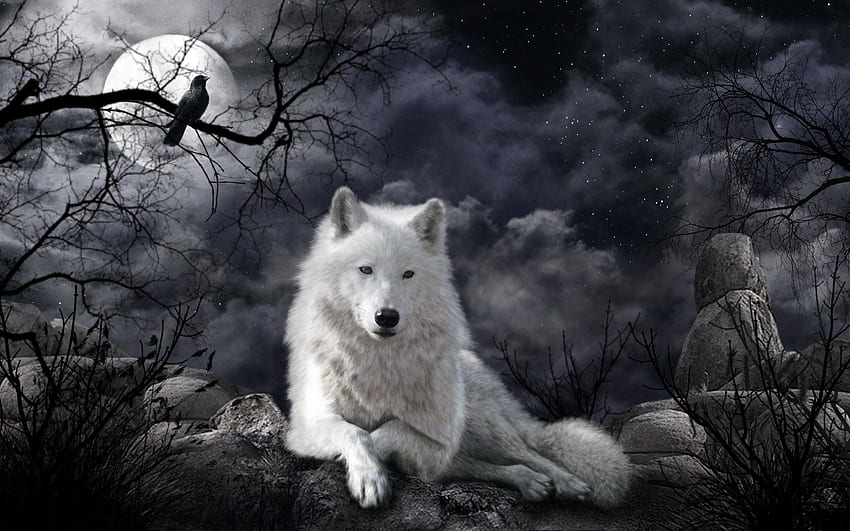Raven and Wolf, Drawn Wolf HD wallpaper