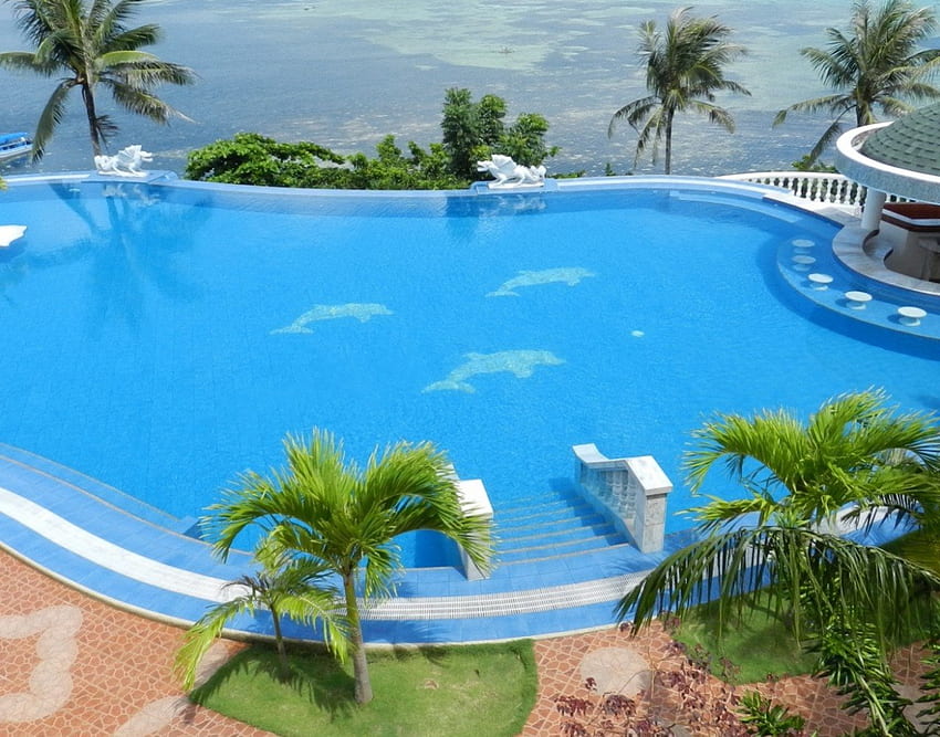 * Hermosa piscina *, árboles, delfines, piscina, paz, relax, comodidad, día soleado, agua fondo de pantalla
