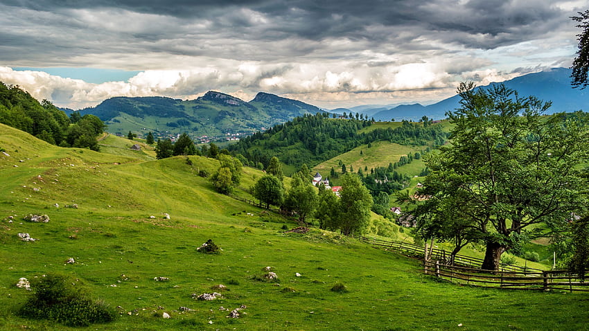 romania, field, grass, meadow romania, Grass, Field. Landscape , Brasov romania, Nature, Brașov HD wallpaper