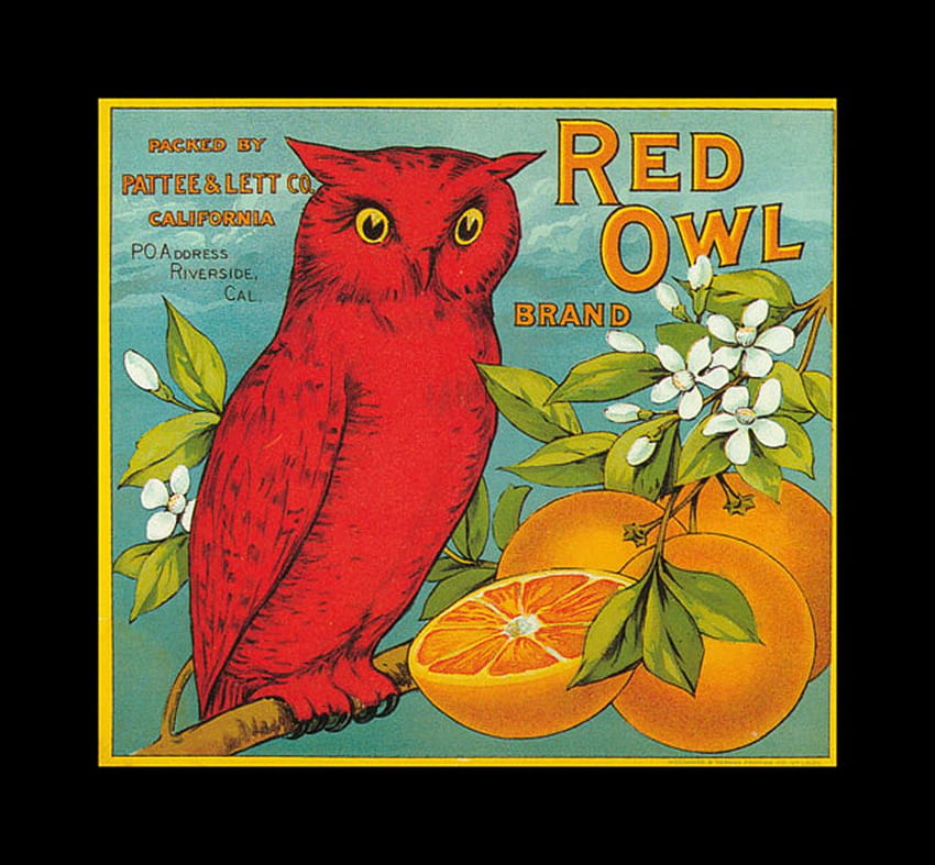 Червени портокали от сова - ретро етикети за щайги с плодове HD тапет