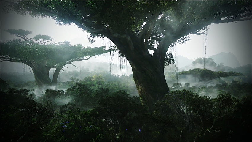 Natur-Dschungel HD-Hintergrundbild