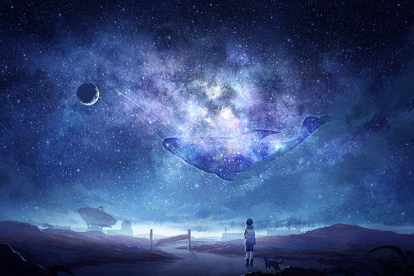 Anime Sky, Milky Way, Stars, Anime Boy, Dog, Moon, Whale, Galaxy, 2256X1504 Anime HD wallpaper