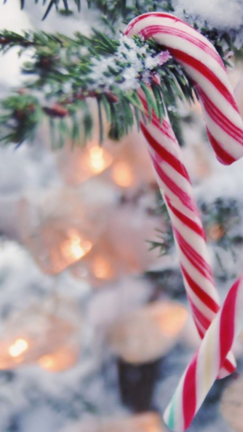 Premium Photo  Delicious whole christmas candy canes on a bright  fullscreen background
