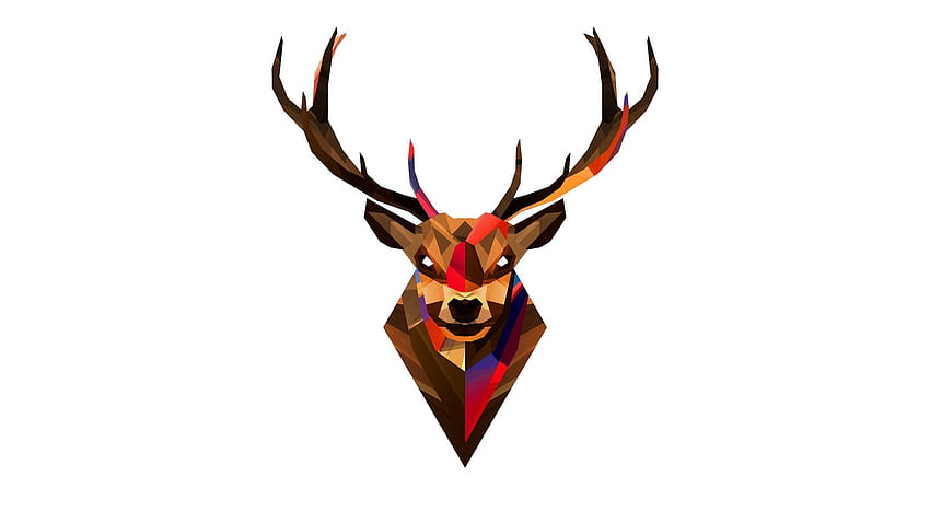 Deer head 3690 [] for your , Mobile & Tablet. Explore Skull Heads. Awesome Skull , Harley Davidson Skills, Girl Skull, Colorful Deer HD wallpaper