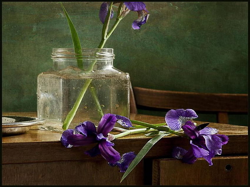 still life, purple, vase, iris, flower HD wallpaper