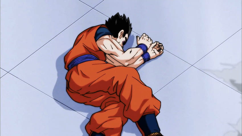 Look At It - Gohan Yamcha Death Pose, & background HD wallpaper