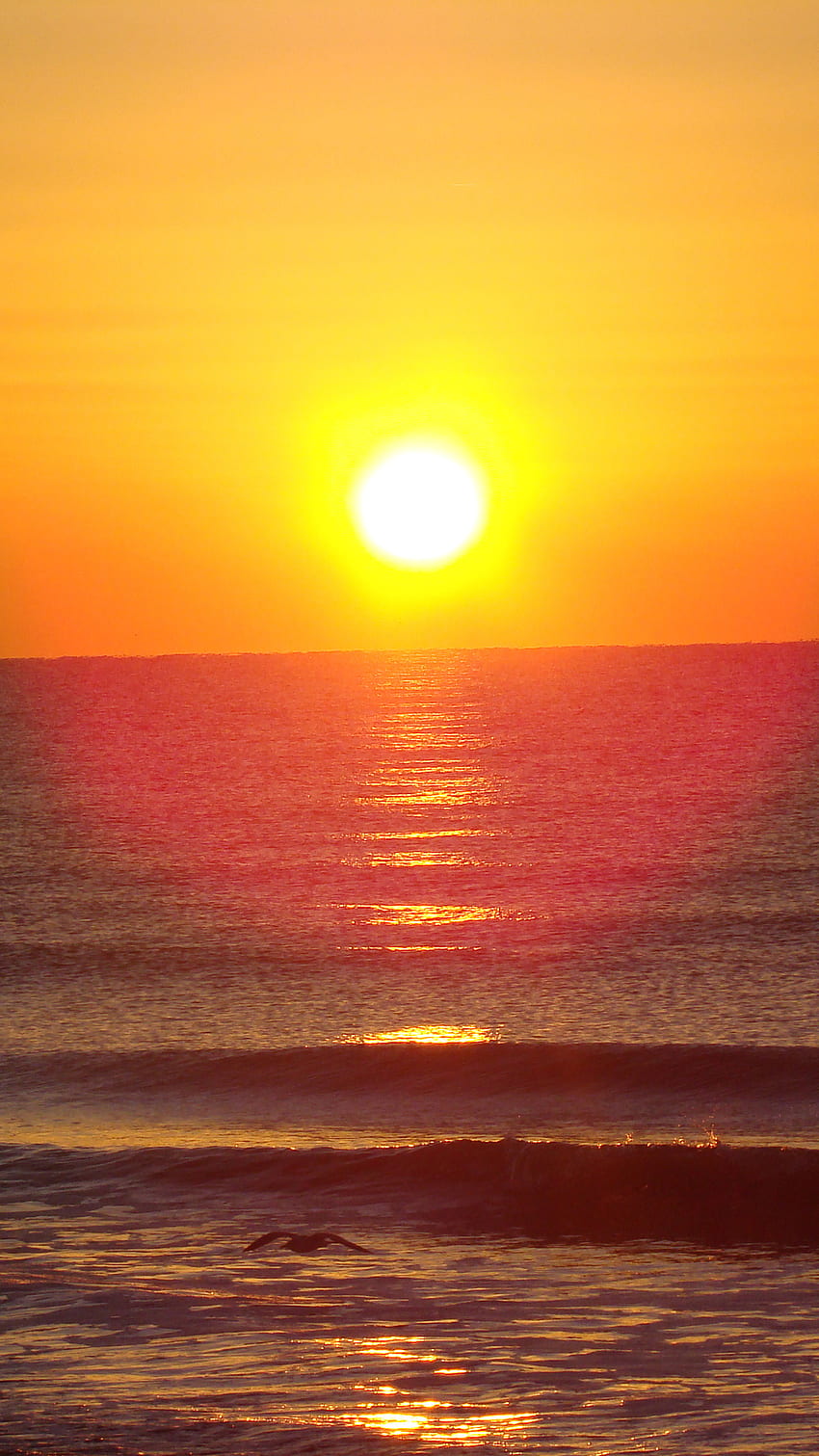 sunrise, beach, , nature, for iPhone 6, 7, 8, Beach Sunrise iPhone HD phone wallpaper
