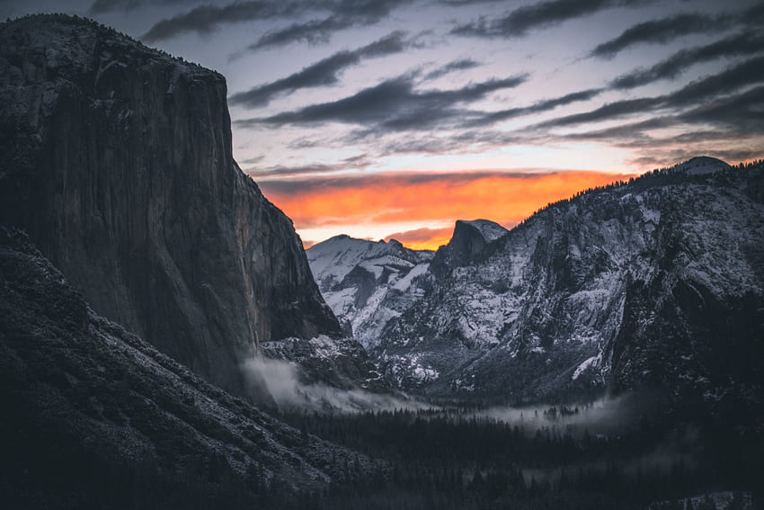 Yosemite Valley, dark, evening, forest HD wallpaper