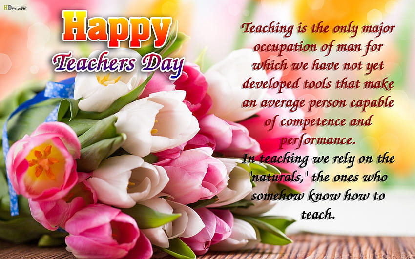 Честит Ден на учителя Цитати с поздравления 1 - Национален, Честит Ден на учителя HD тапет