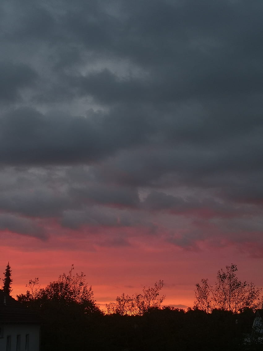 Red skyline, Nature, Sky, cloud, Sonnenuntergang, Horizon, Sun HD phone wallpaper