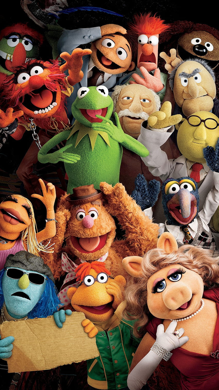 Die Muppets (2011) Telefon . Filmwahn. Die Muppets 2011, Muppets, Die Muppetshow, Lustige Muppets HD-Handy-Hintergrundbild