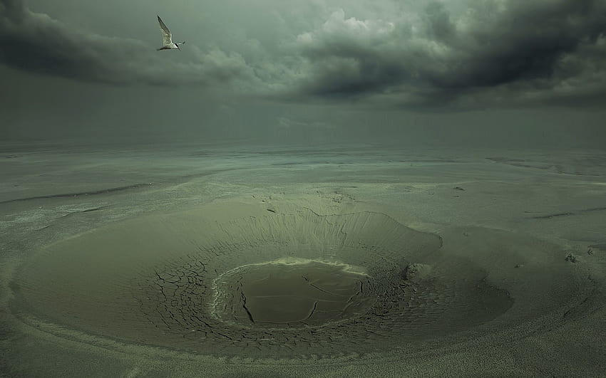 ธรรมชาติ ทราย ทะเลทราย นก หุบเขา ภัยแล้ง วอลล์เปเปอร์ HD