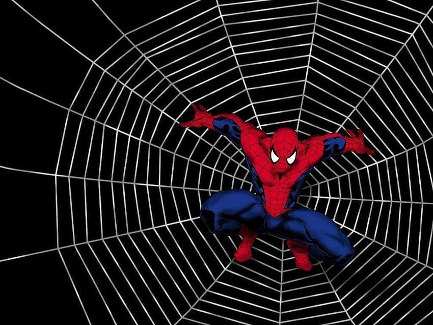 Spiderman, Spider-Man Live HD wallpaper