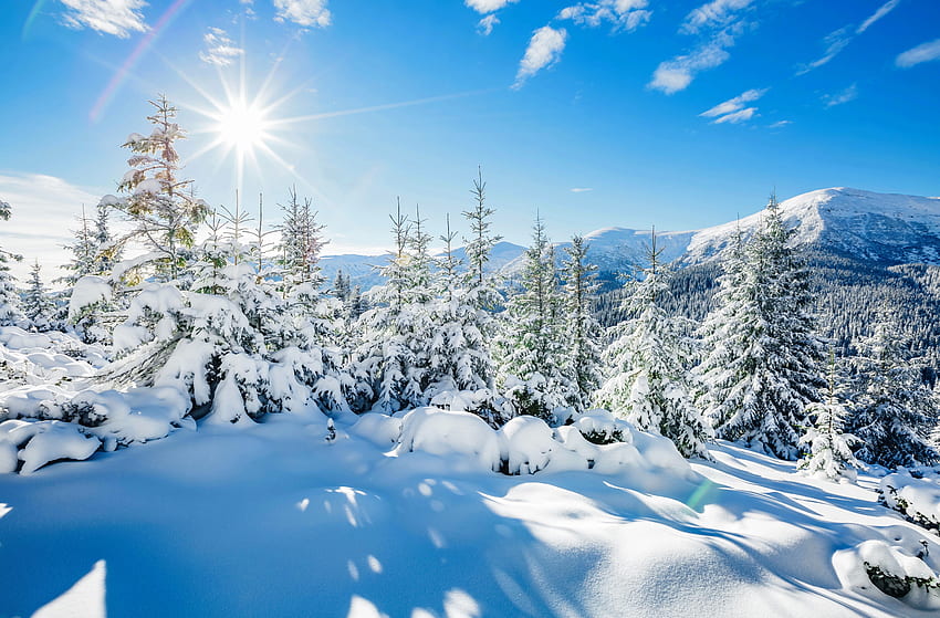 Winter in mountains, winter, frost, snow, trees, sky, beautiful, sun ...