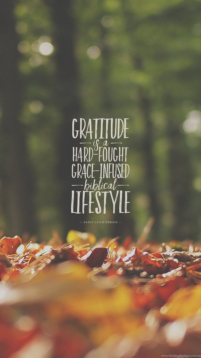 Wednesday : Gratitude Is A Lifestyle Jacob Abshire Background HD phone wallpaper