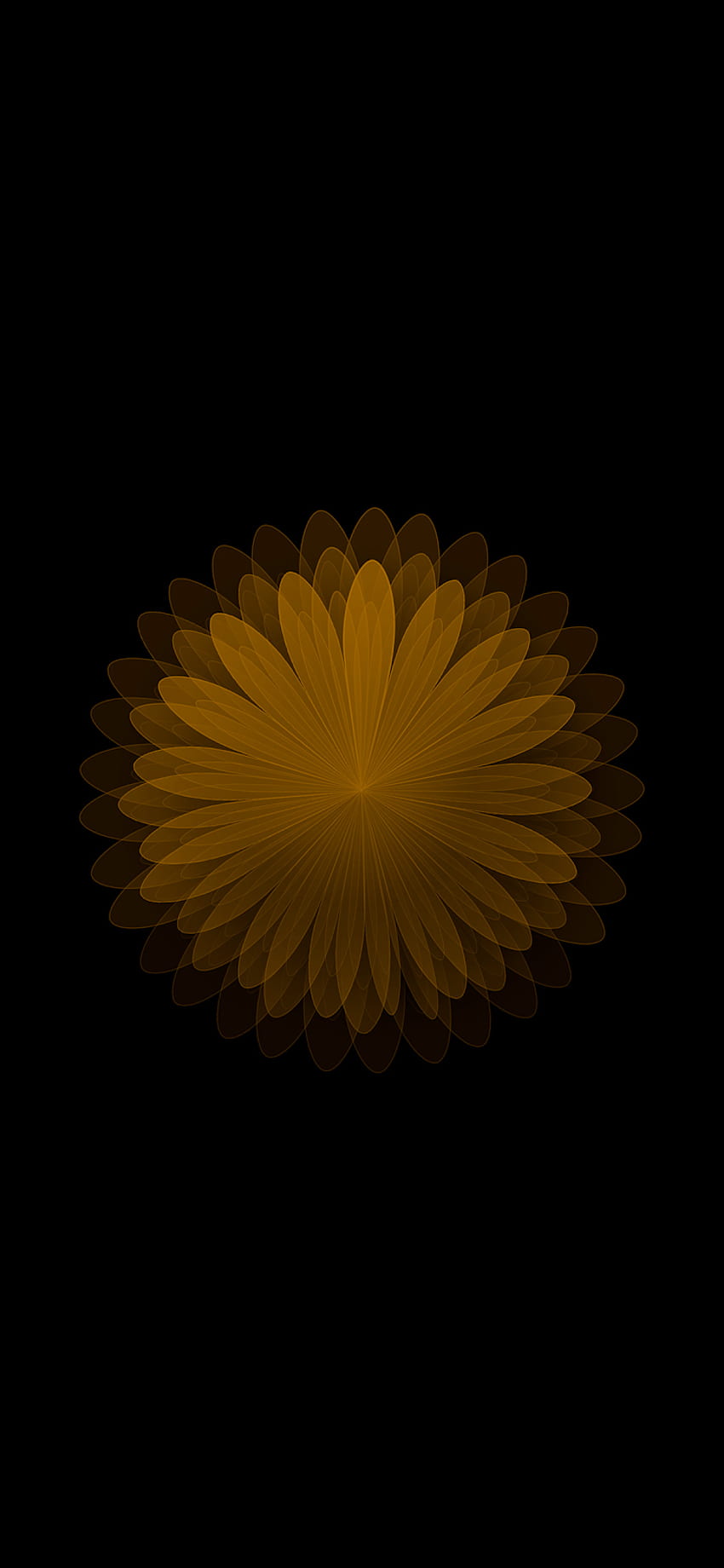 Manzana de Roman: iPhone X AMOLED flor de color negro fondo de pantalla del teléfono