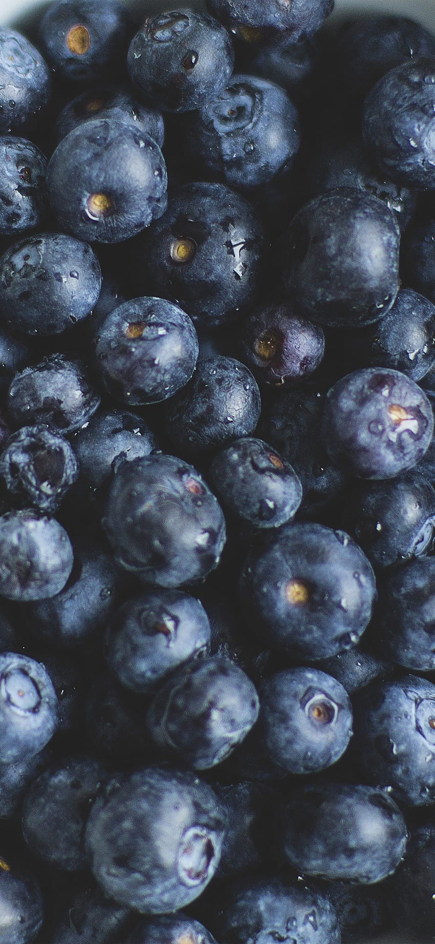 ブルーベリーの健康的な果物 自然の食べ物を食べる HD電話の壁紙