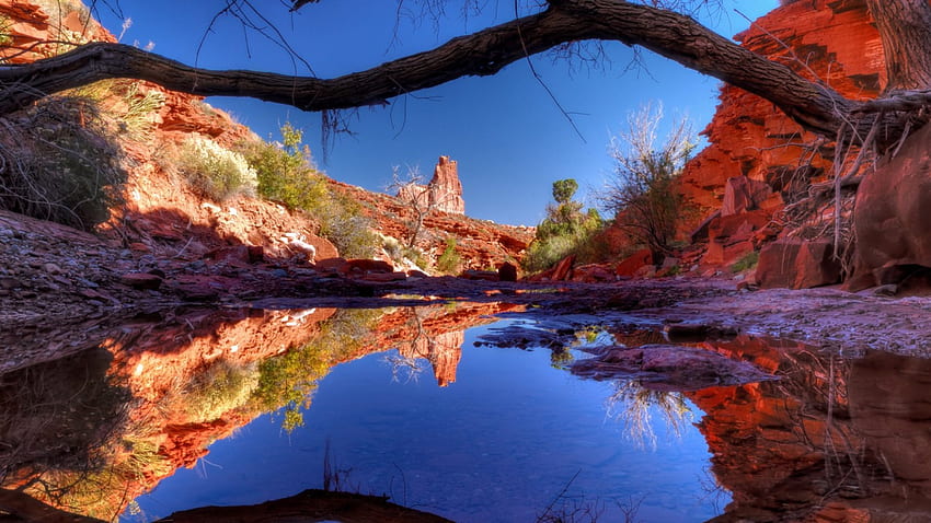 fallen tree on a lovely canyon pond, fallen tree, reflection, canyon, pond HD wallpaper