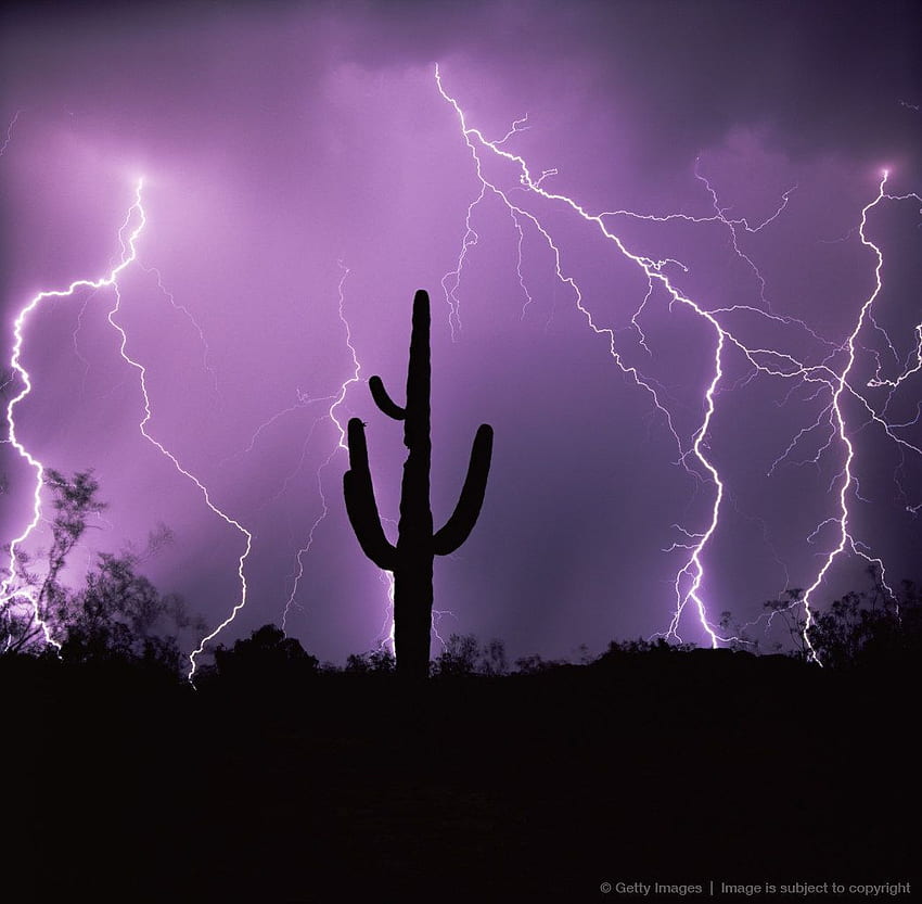 Силует на кактус срещу мълния, Тусон, Аризона. Гръмотевична буря, Силует на кактус, Светкавица, Пустинна светкавица HD тапет
