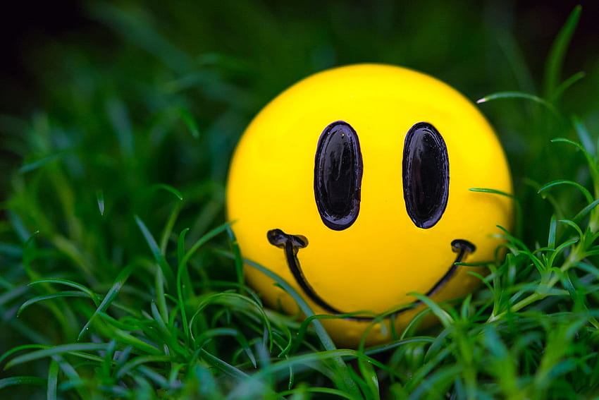 Żółta piłka emoji, trawa, makro, uśmiech, buźka, roślina, z bliska. Emoji, Emotikon Iphone, Buźka, Emoji Laptop Tapeta HD