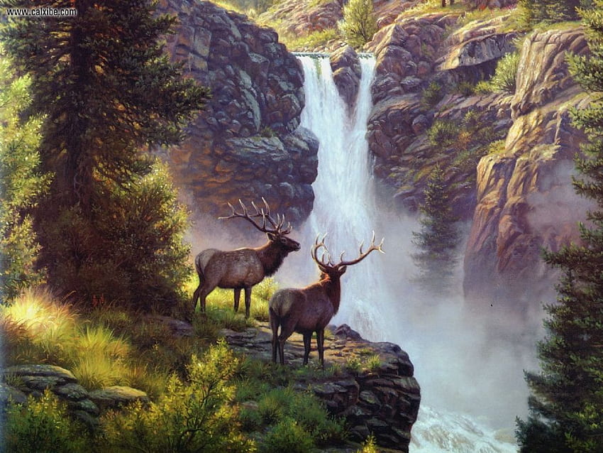 Elk, cachoeiras, floresta, pintura papel de parede HD