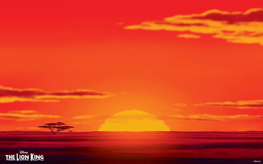Lion King Disney, Lion King Sunset HD wallpaper