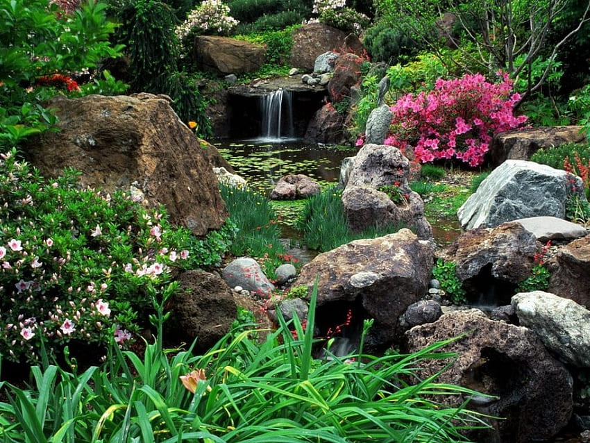 Rocky Garden, flowers, small waterfall, rock garden, pond HD wallpaper