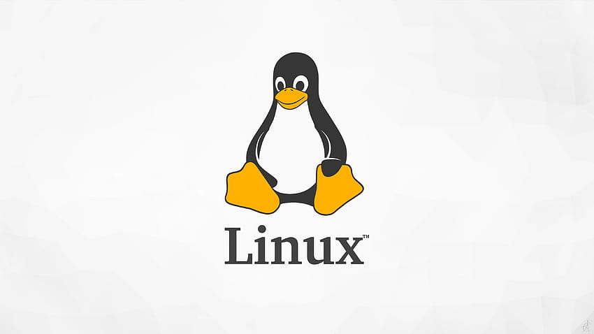 65 Linux Tux [] für Ihr , Handy & Tablet. Entdecken Sie den Tux-Pinguin. Tux-Pinguin, Tux, Linux-Tux, Linux-Logo HD-Hintergrundbild