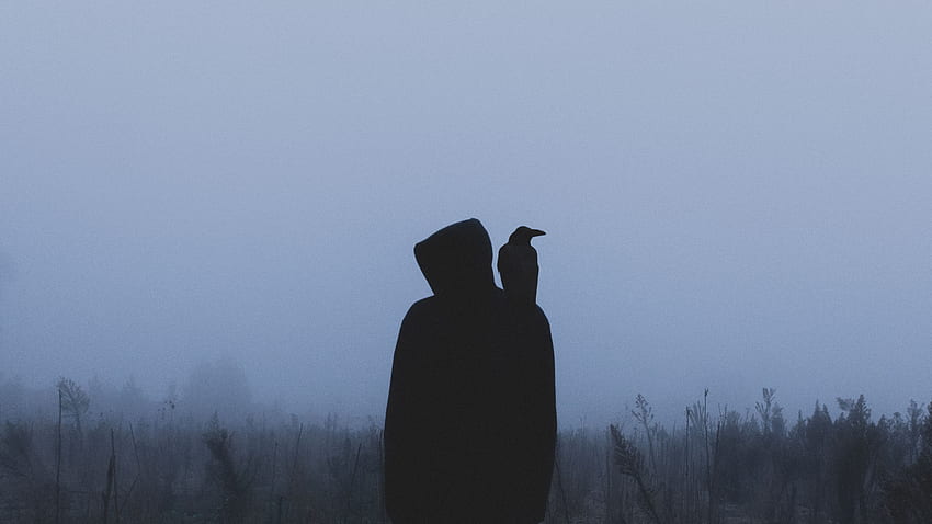 Rabe, Einsamkeit, Silhouette, Verschiedenes, Sonstiges, Nebel, Kapuze HD-Hintergrundbild